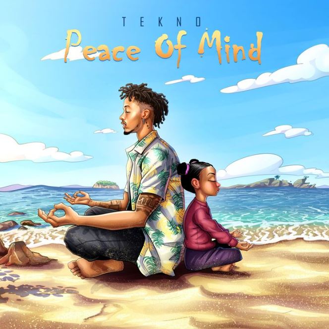 Song of | Tekno – Peace of Mind