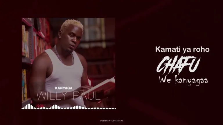 Song of | Willy Paul – Kanyagaa