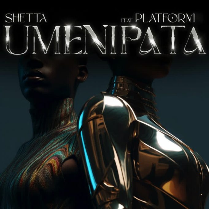 Song of | Shetta Ft. Platform – Umenipata