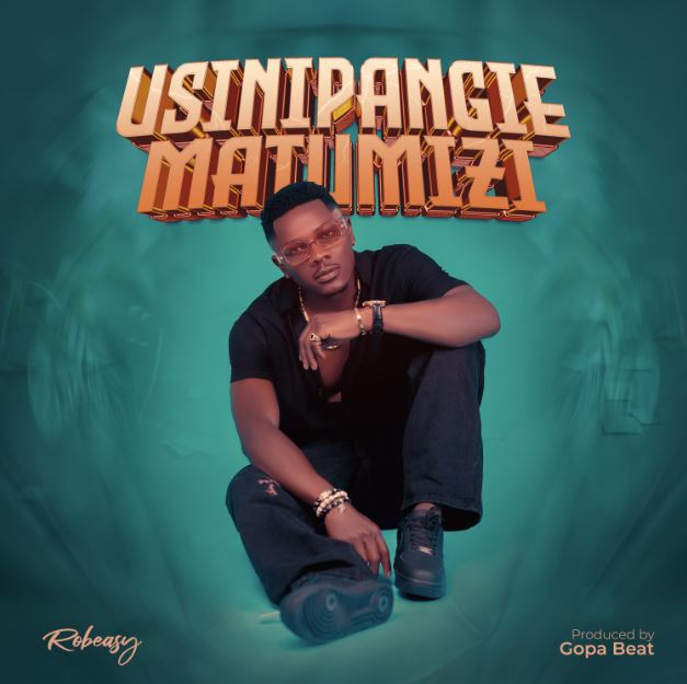 Song of | Robeasy – Usinipangie Matumizi