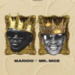Song of | Marioo Ft. Mr. Nice – Shisha