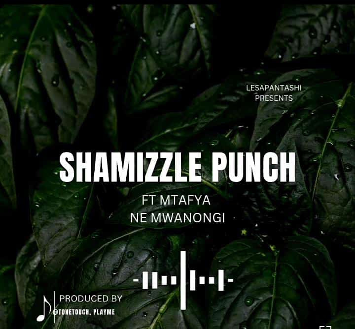 Song of | Shamizzle Punch Ft. Mtafya – Ne Mwanongi