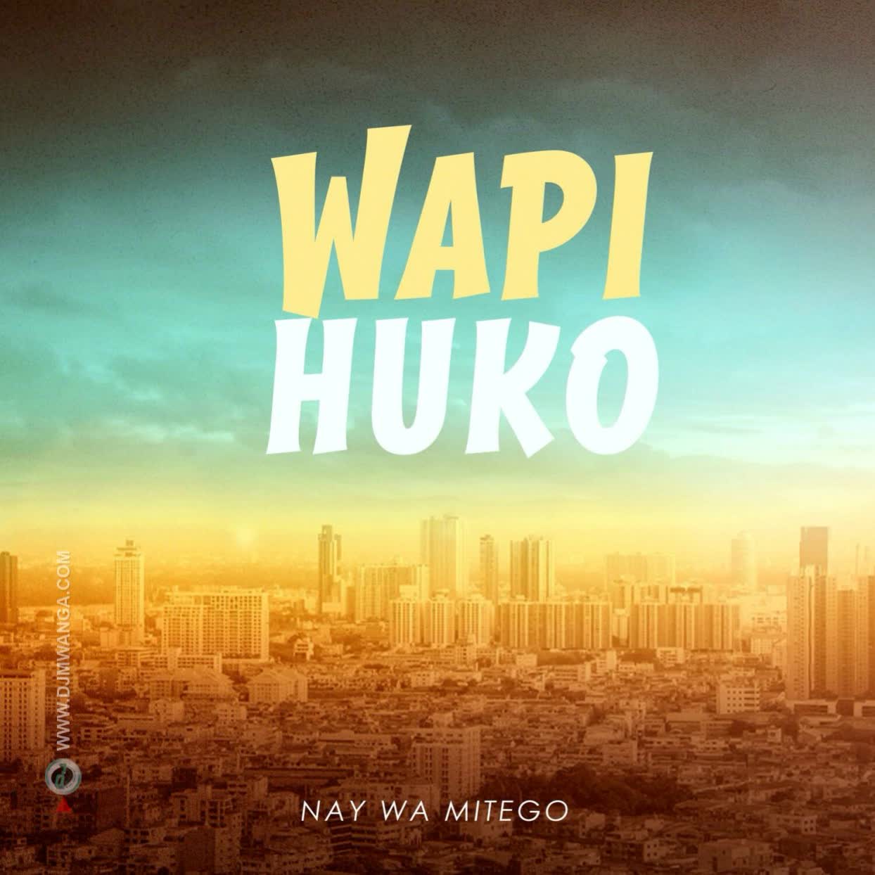 Song of | Nay Wa Mitego – Wapi Huko