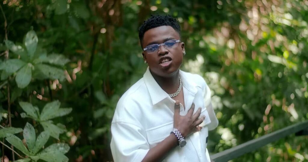 Video of | Bright – Nimependa