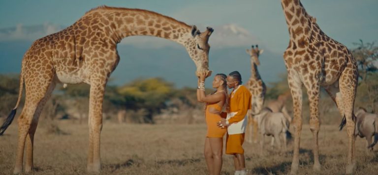 Video of | Marioo – Hakuna Matata