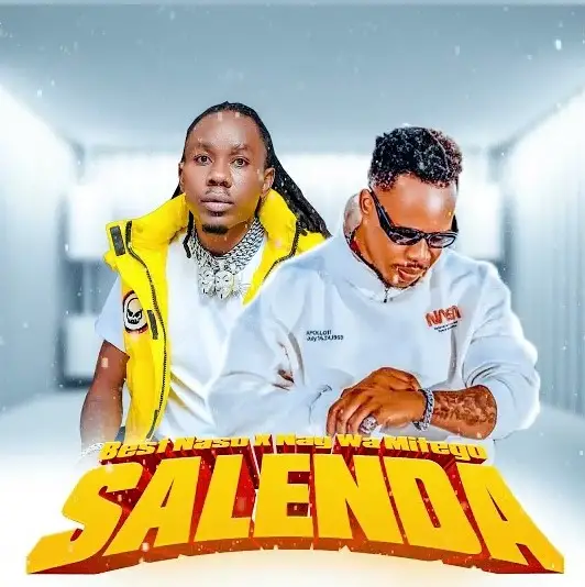 Song of | Best Naso Ft Nay Wa Mitego Salenda