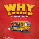 Song of | Dj Robby Fighter – Why u wanna Go