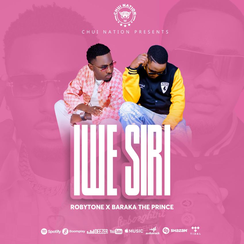 Song of | Robytone ft Barakah The Prince – Iwe Siri