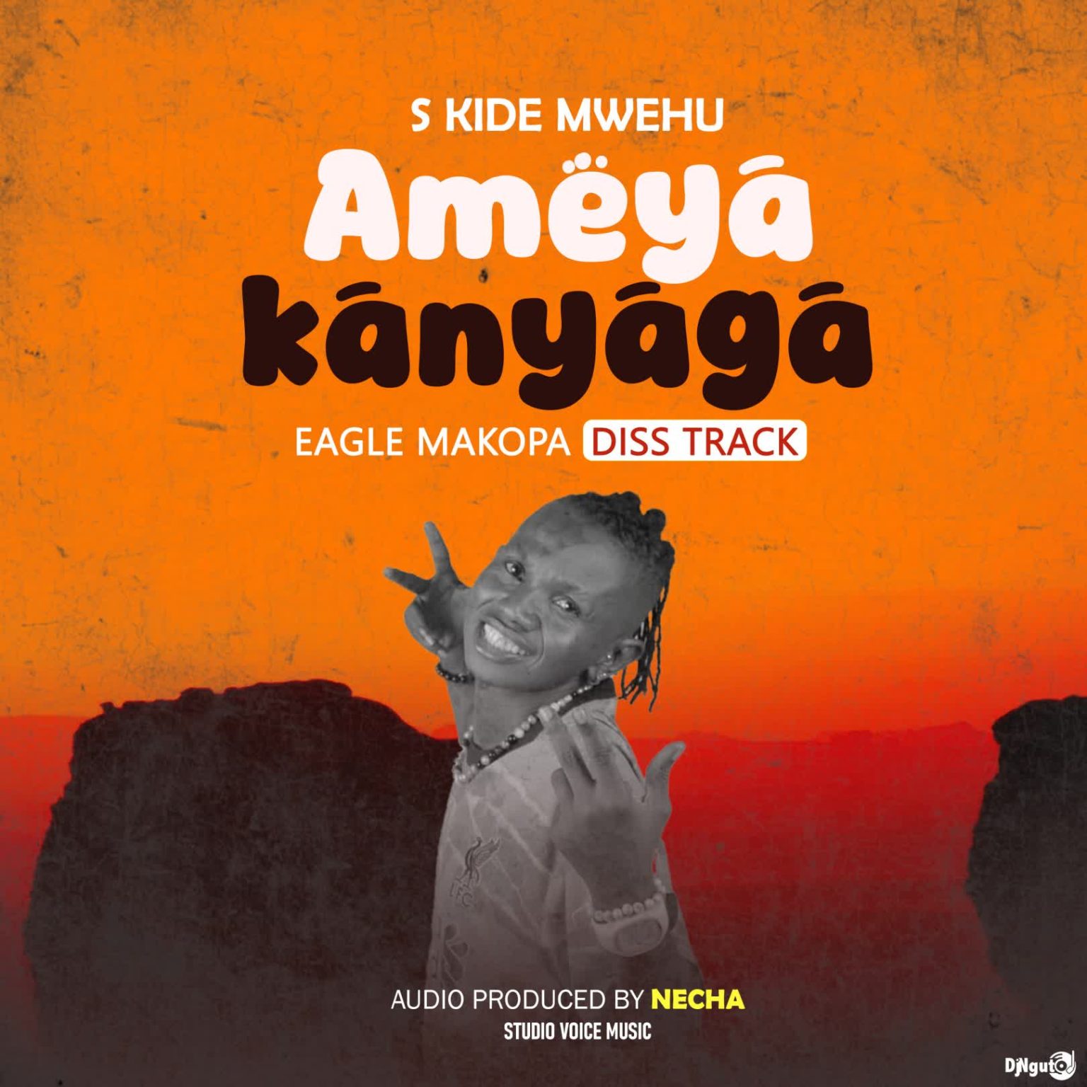 Song of | S Kide – Eagle Makopa (Ameyakanyaga)