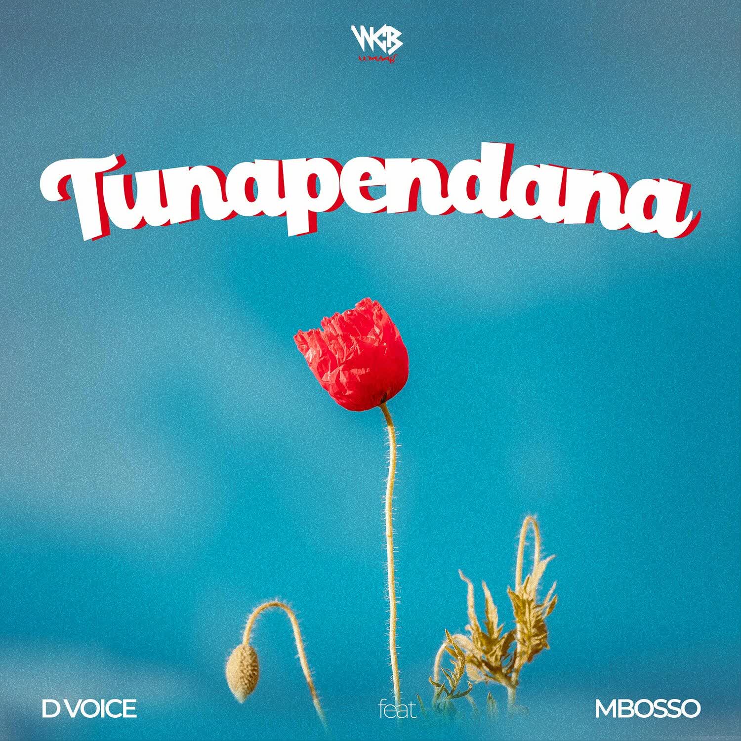 Song of | D Voice X Mbosso – Tunapendana