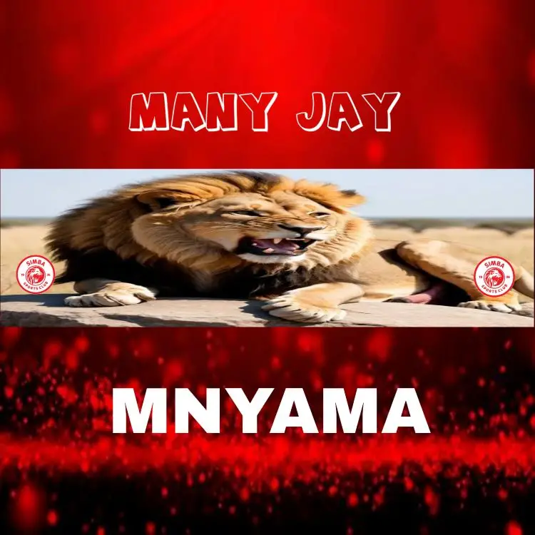 Song of | Many jay – Mnyama