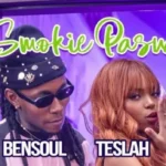 Song of | Teslah ft Bensoul – Smokie Pasua
