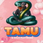 Song of | M Balo Platnumz – Tamu
