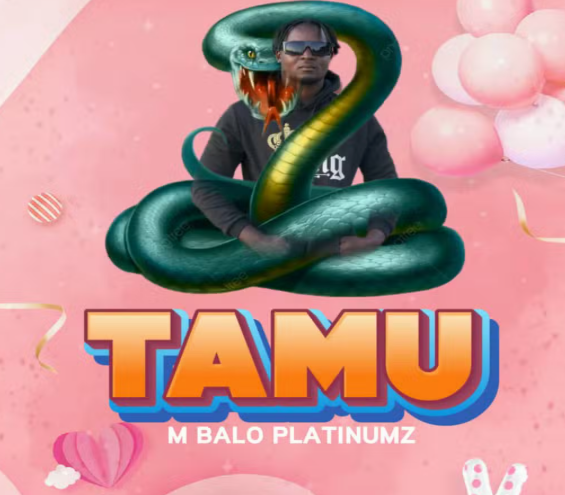 Song of | M Balo Platnumz – Tamu