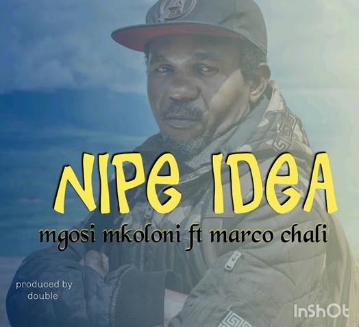 Song of | Mgosi Mkoloni (Wagosi Wakaya) Ft Marco Chali – Nipe Idea